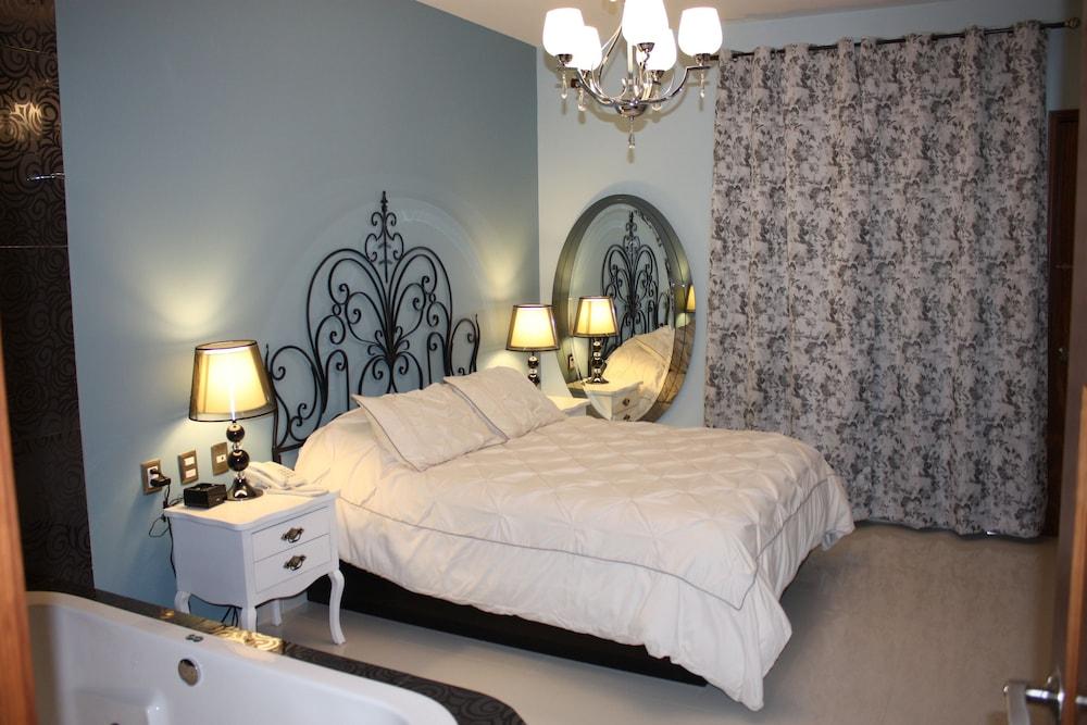 كويريتارو Zarzarosa Hotel Boutique المظهر الخارجي الصورة